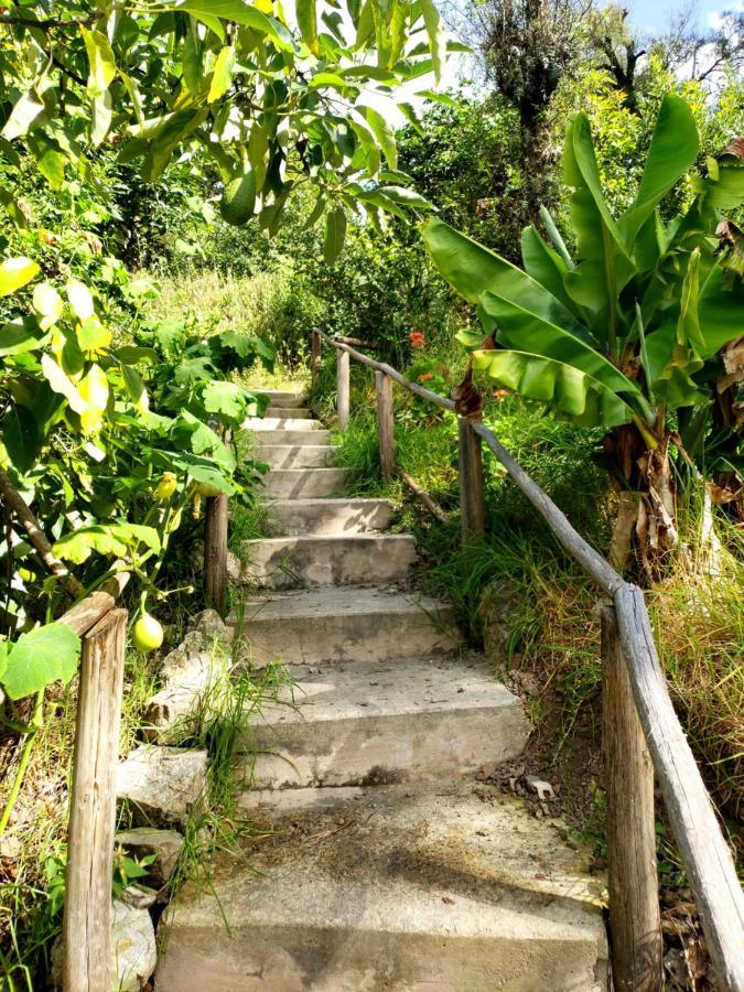 Fundo Wilppani Villa Limatambo Bagian luar foto